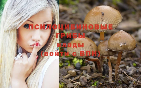 гидра Алзамай