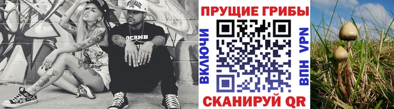 Псилоцибиновые грибы MAGIC MUSHROOMS  Еманжелинск 