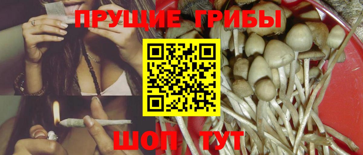 Галлюциногенные грибы Psilocybine cubensis Еманжелинск